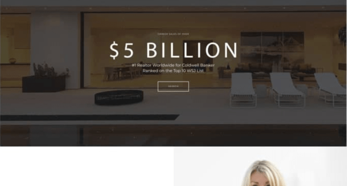 15 Best Real Estate Agent Website Builders | Carrot